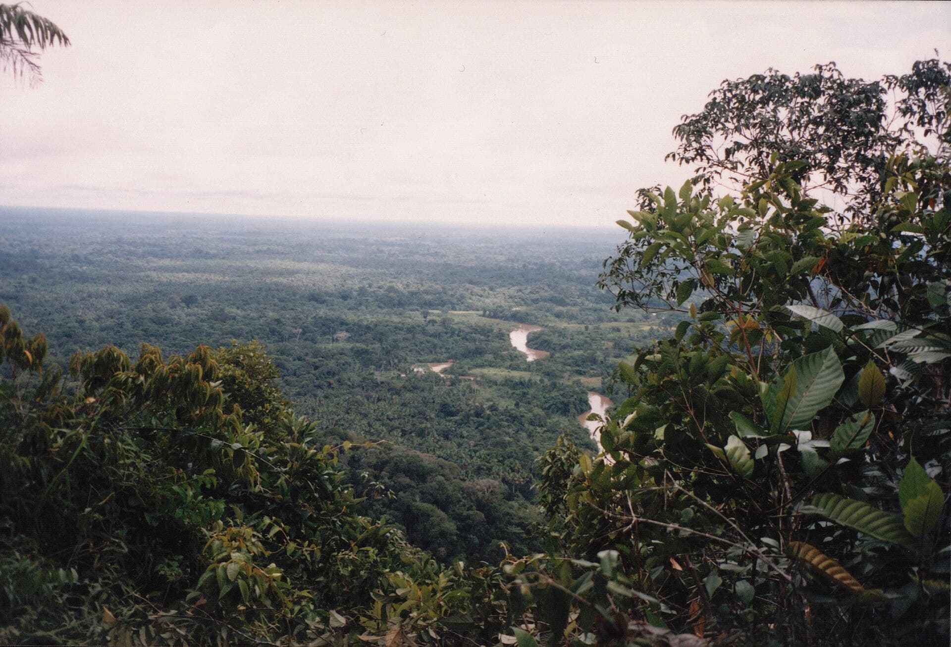 Serra Divisor do alto