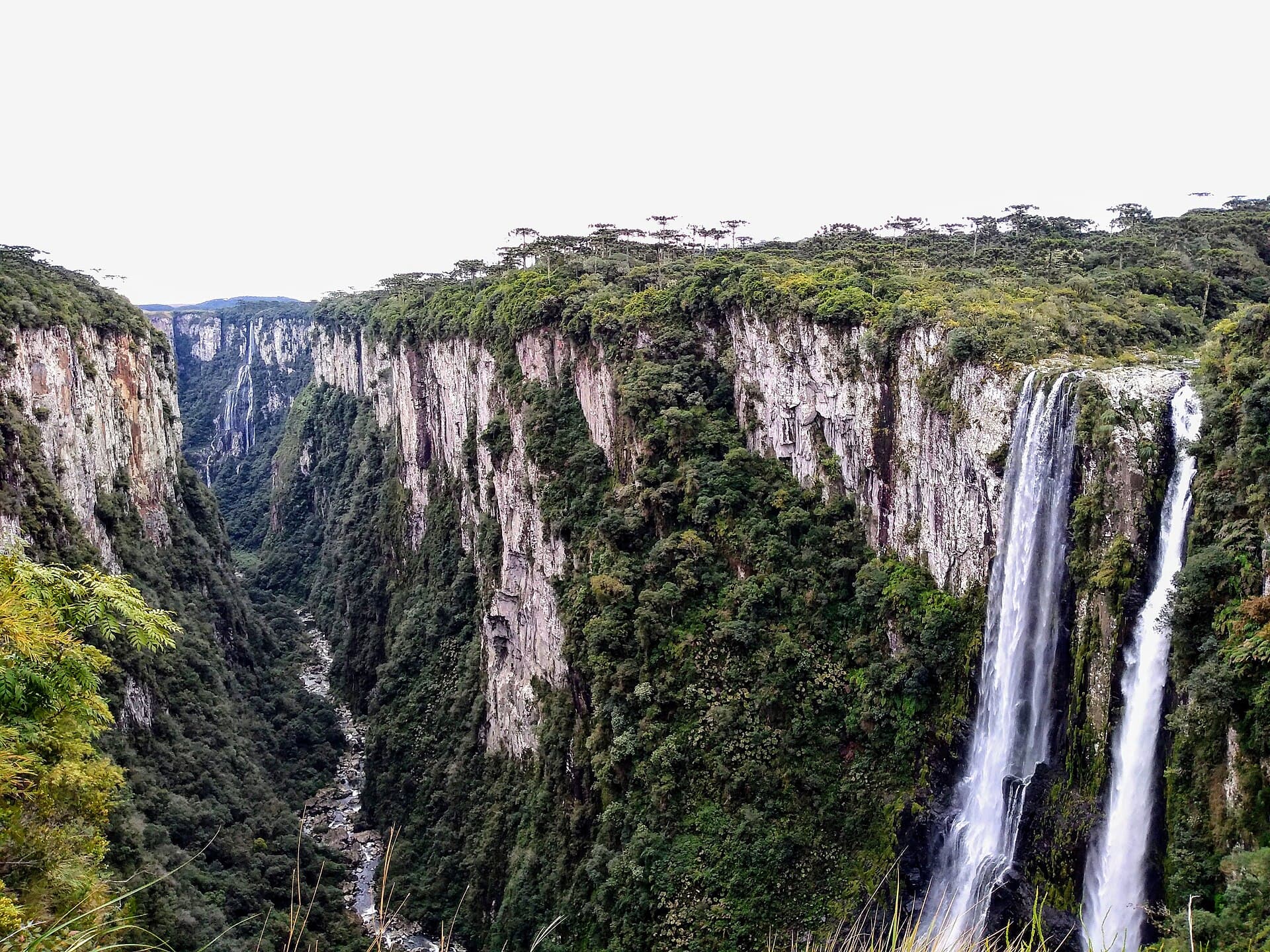 Parque Nacional de Aparados da Serra Carlos Souto (01)