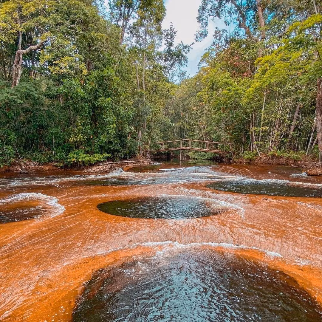 Cover Image for Amazonas