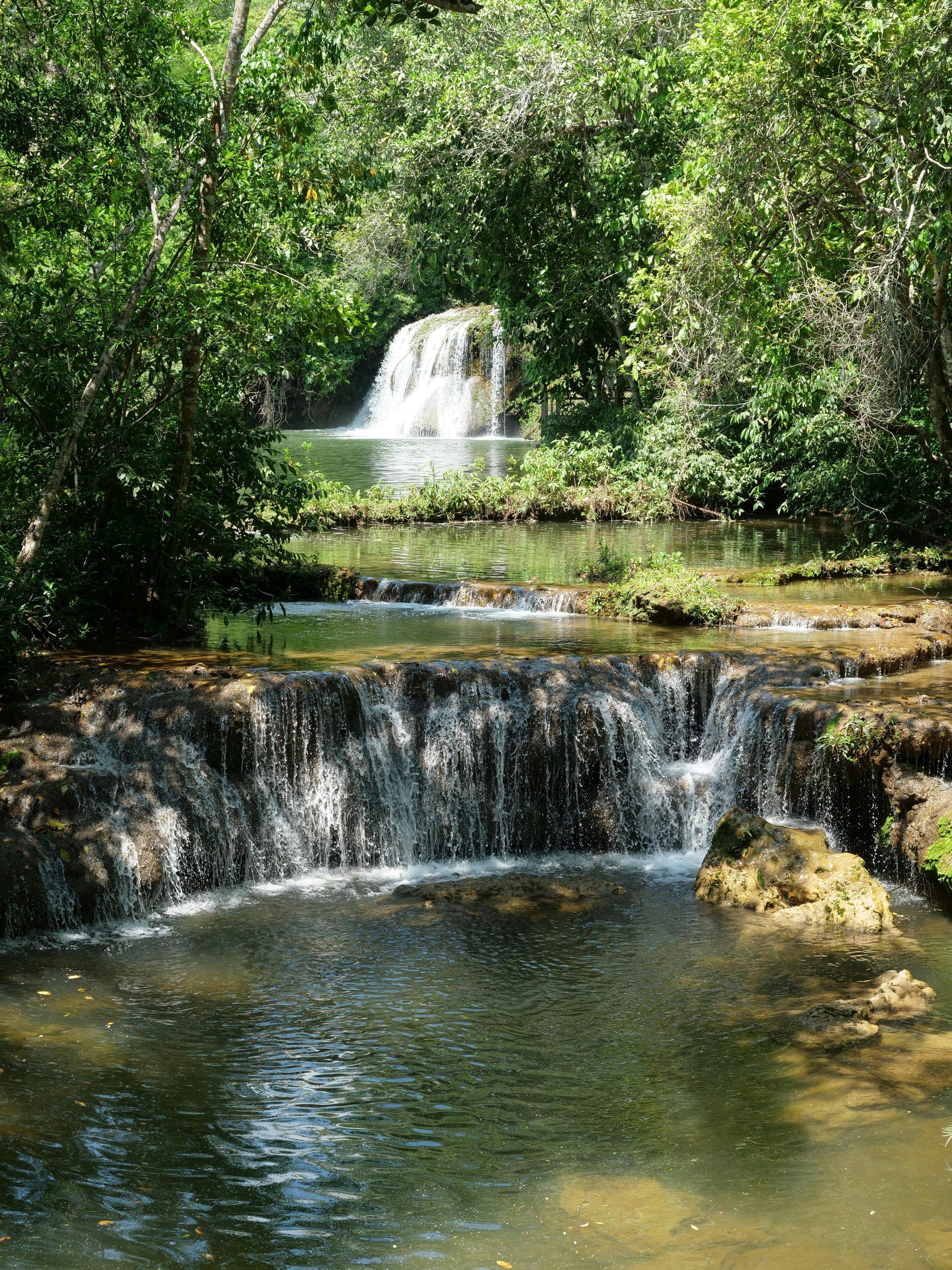 Cover Image for Mato Grosso do Sul
