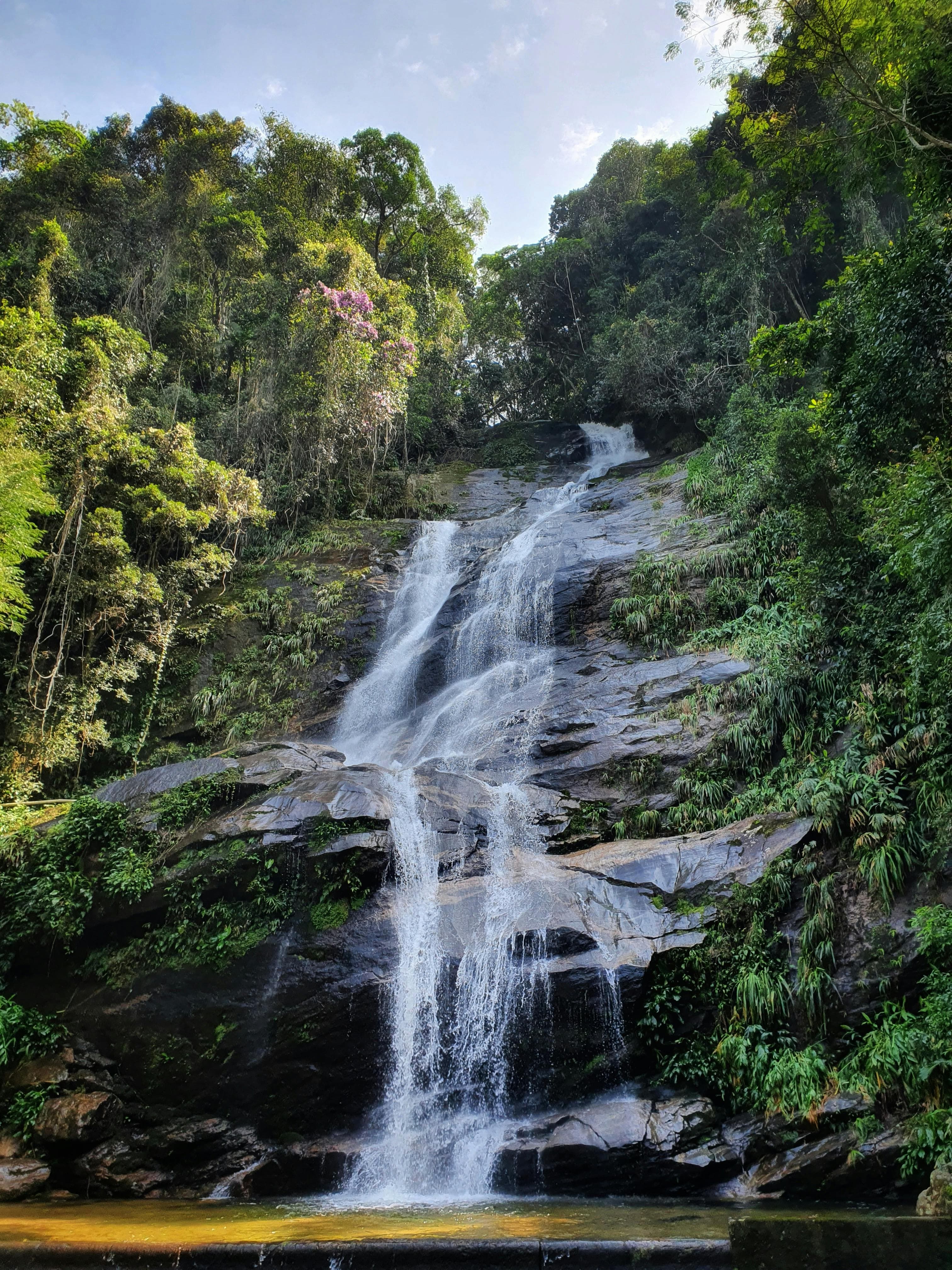 Cover Image for Mato Grosso
