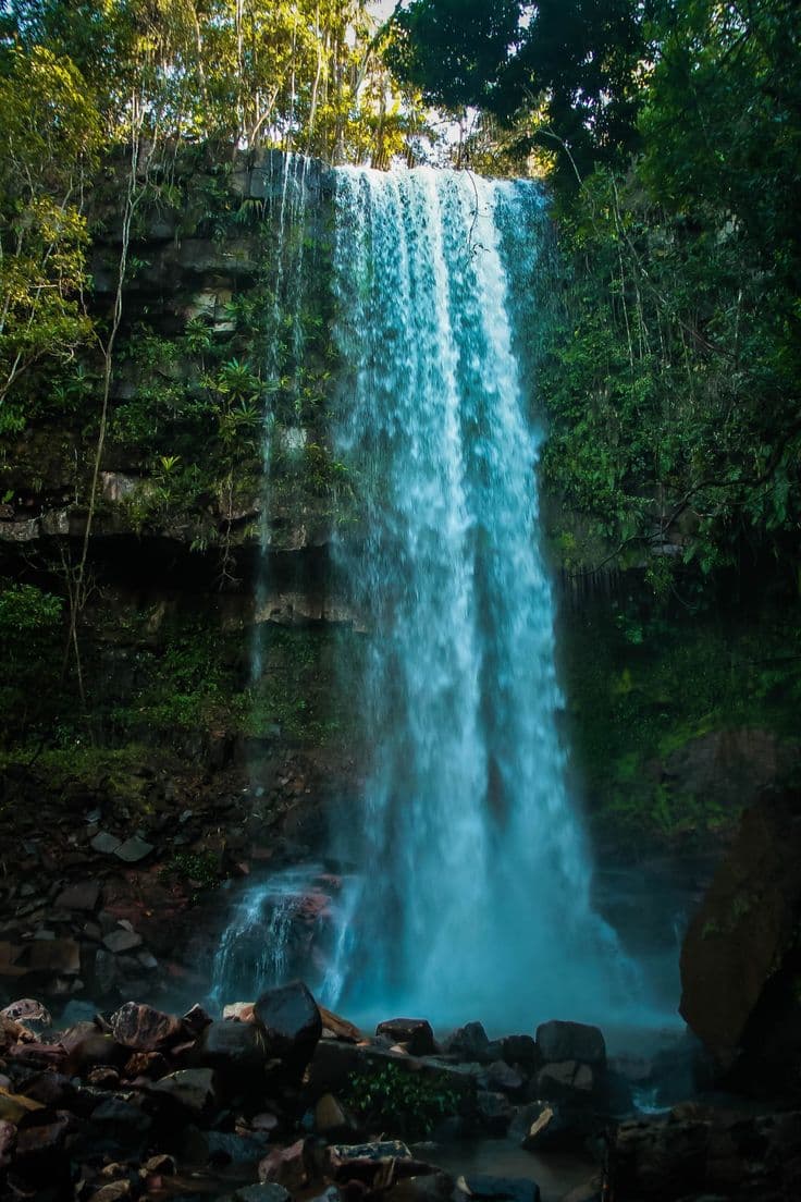 Cover Image for Rondônia