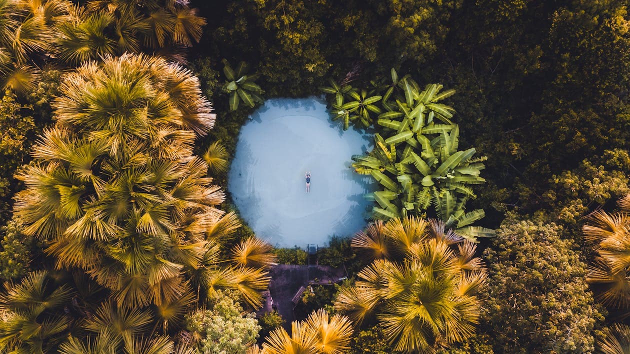 Cover Image for Tocantins