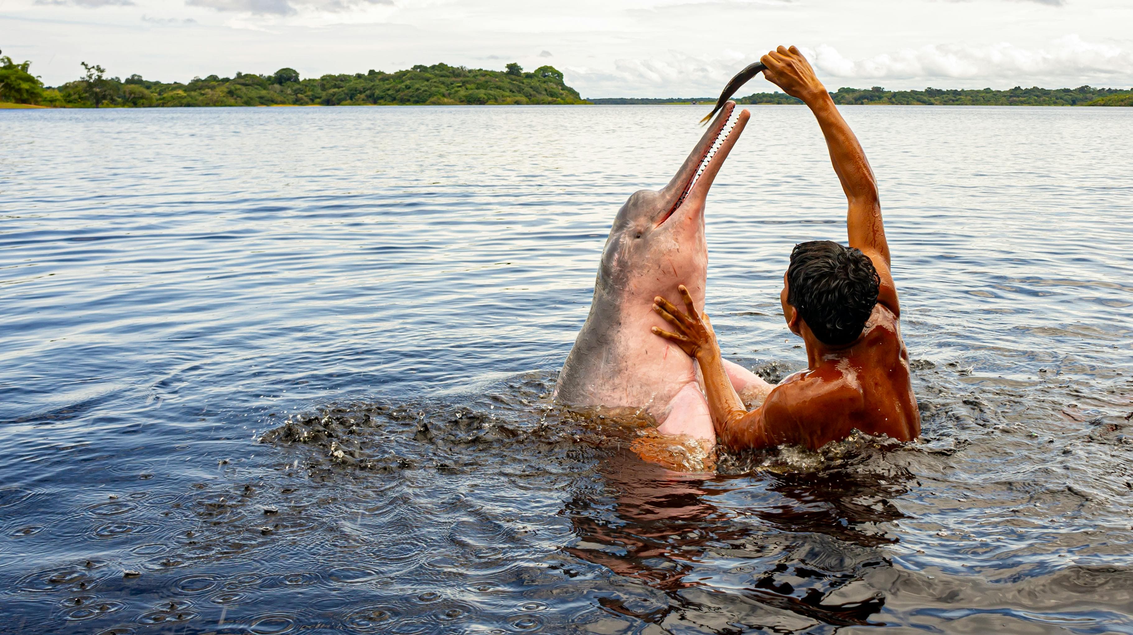 5 Hidden Amazon Rainforest Routes Most Tourists Miss