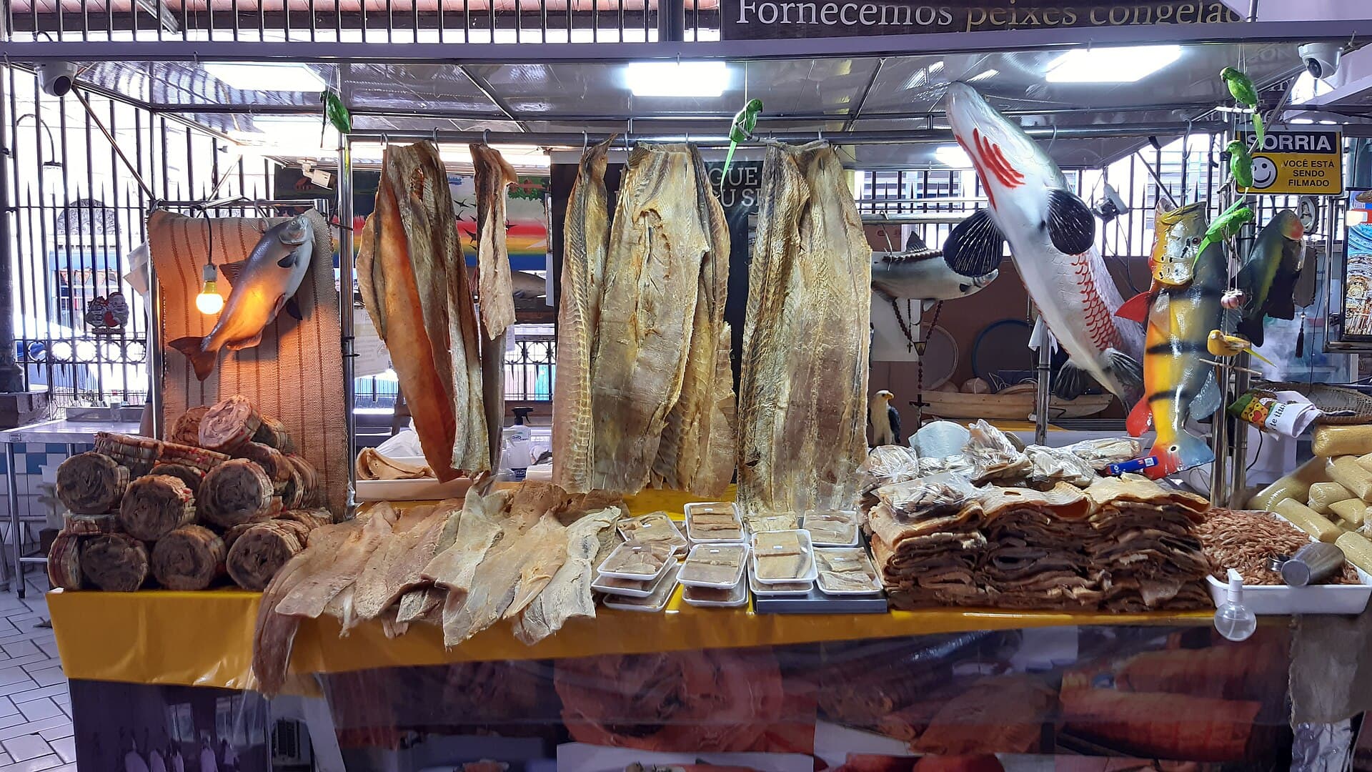 Mercado Municipal Adolpho Lisboa, Manaus, Brazil 03